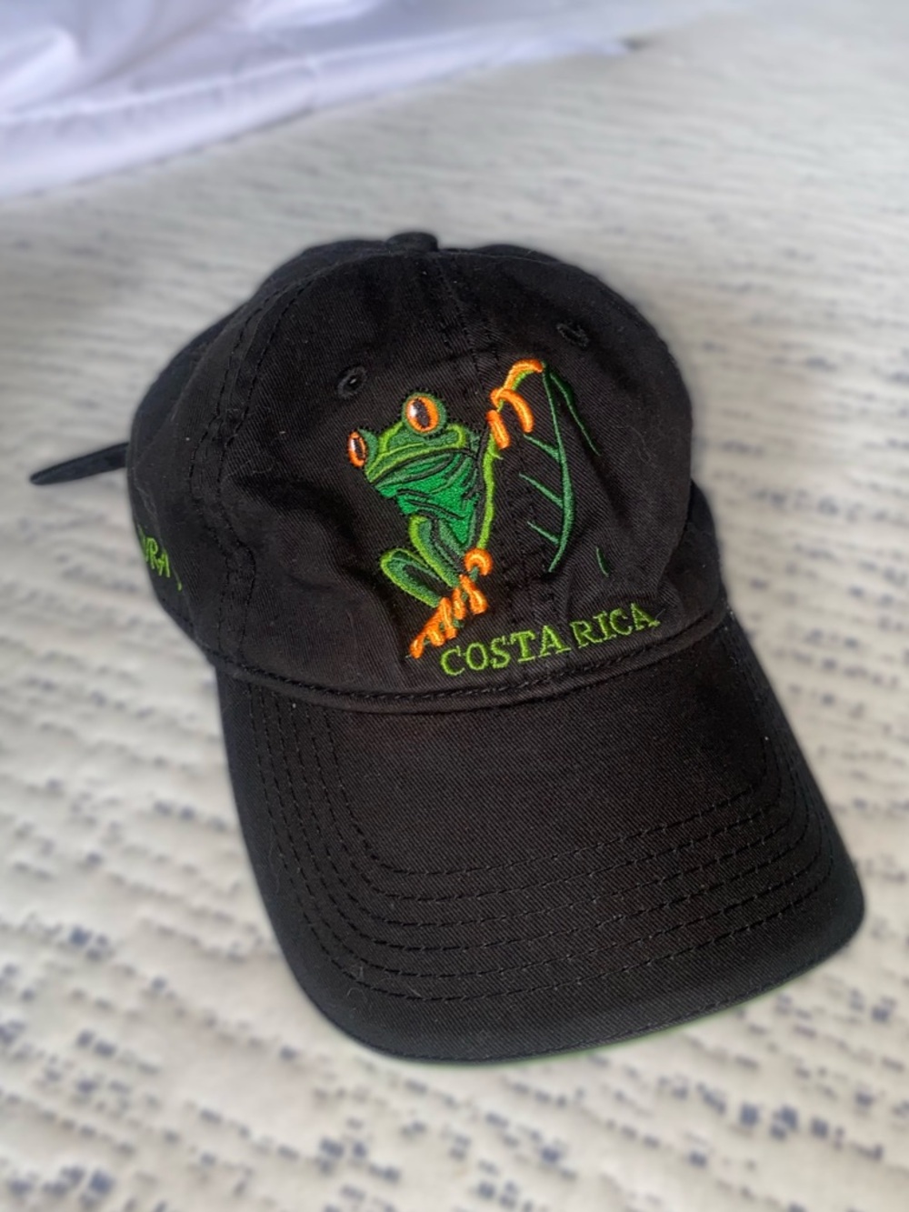 Costa Rica black baseball cap with cute Embroidered Frog